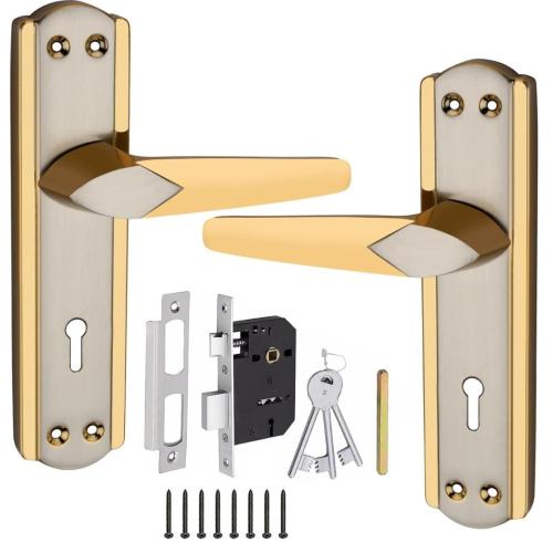 7-Inch Mortise Door Handle Lock Set, Silver Gold Finish (HML6+S701MSG)