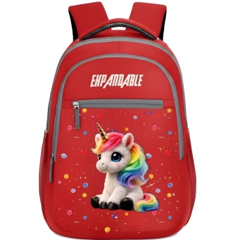 Bags & Back Pack