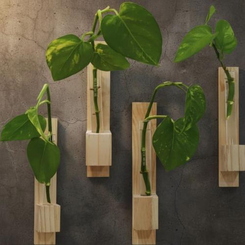 Wooden Wall Hanging Planter Set for Home Decor