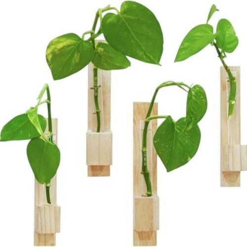 Wood Plant Container Set