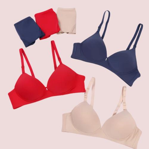 Seamless Padded Wire Free Bra Pack of 3