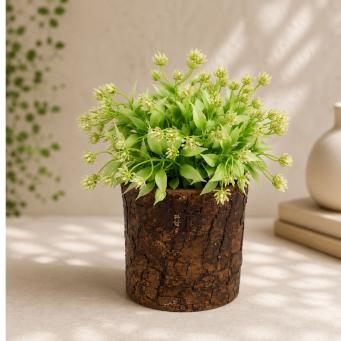 Vases