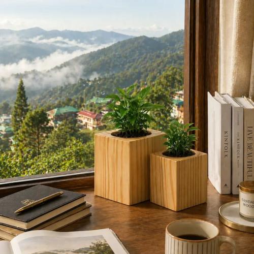 Set of 2 Wooden Planter Pots – Pine Wood Indoor Plant Holders    