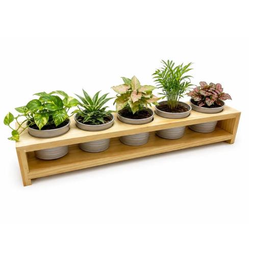5 in 1 Wooden Planter Stand with Metal Pots – Indoor Plant Holder    