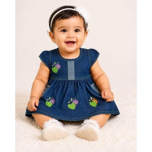 Denim Embroidered Dress