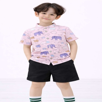 Boys Clothing Set