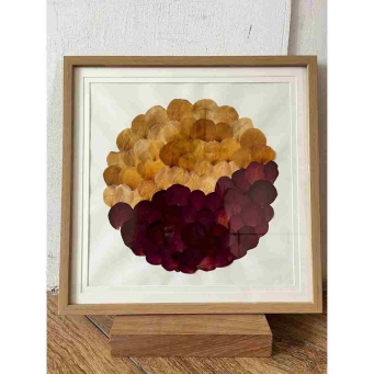Portraits and Frames