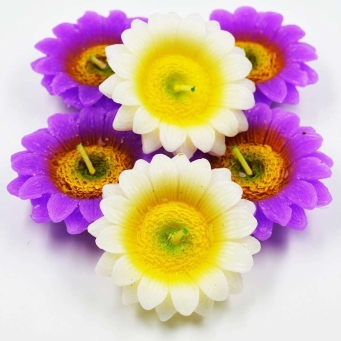 Air Fresheners and Candles