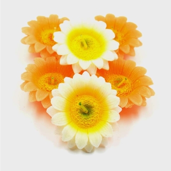 Air Fresheners and Candles