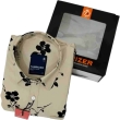 FABRIZER casual striped shirt for men with stylish multicolor design