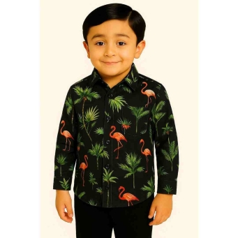 Boy's Shirts