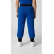 Blue Casual Track Pant