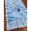 Sky Blue Diamond Work Saree