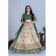 Green Lichi Silk Lehenga Choli