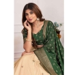 Beautiful lehenga set with embroidered dupatta