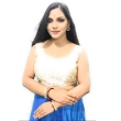 Gold net blouse front view