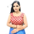 Women's round neck net blouse with stylish checked pattern