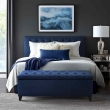 open storage blue tufted ottoman bench box sofa