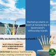 eco friendly toothbrush with tulda bamboo handle pack 12