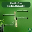 sustainable oral hygiene kit with neem aloe toothpaste and brushes