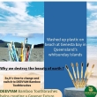 Natural sensitive oral care combo with herbal toothpaste and bamboo toothbrush