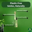 Natural herbal oral care combo with whitening toothpaste and bamboo toothbrush