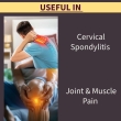 pain relief oil for knee back shoulder ankle and muscle pain