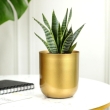 Elegant indoor planter for home and office decoration
