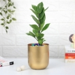 Modern planter for indoor plants and home styling