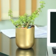 Decorative planter for coffee table and office desk