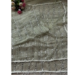 Elegant light green soft net saree with detailed heavy work blouse
