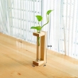 Wooden planter set of 4 for home decor