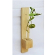 Stylish wooden planter set for indoor plants