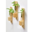 Wooden plant pots set for home and garden