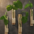 Wooden wall hanging planter set for stylish indoor home d&eacute;cor