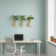 Rustic wooden wall hanging planter for modern home decoration