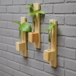 Elegant wooden wall-mounted planter set for living room and balcony