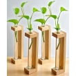Pine wood test tube planter set for stylish home d&eacute;cor and indoor plants