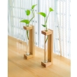 Elegant pine wood test tube vase planter for flowers and hydroponic plants