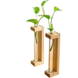 Modern pine wood planter with glass test tubes for home decoration