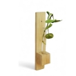 Elegant wooden planter set for flowers, herbs, and small plants
