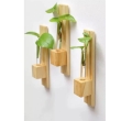Decorative wooden plant containers for modern home and office decor