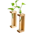 Pine wood test tube planter station set of 2 for home and office decor
