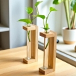 Elegant pine wood planter station with glass test tubes, set of 2