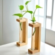 Modern pine wood test tube planter set of 2 for hydroponic plants