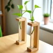 Pine wood propagation station with glass test tubes for plant cuttings